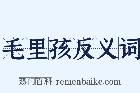 毛里孩反义词是什么意思的图片